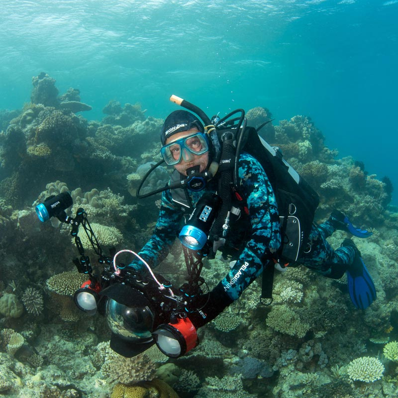 Professor Peter Harrison diving amongst coral