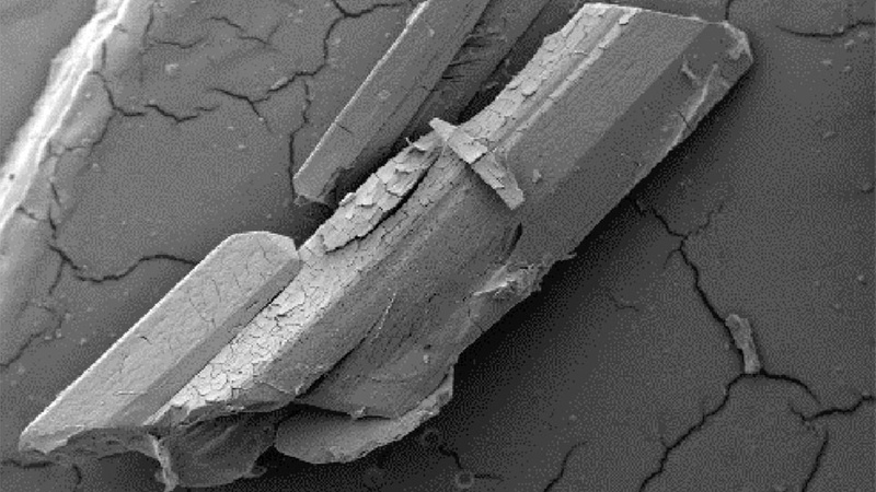 A scanning electron microscope image of a struvite crystal.