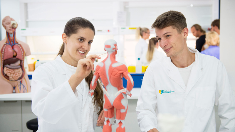 Students inspecting anatomical models at Gold Coast campus