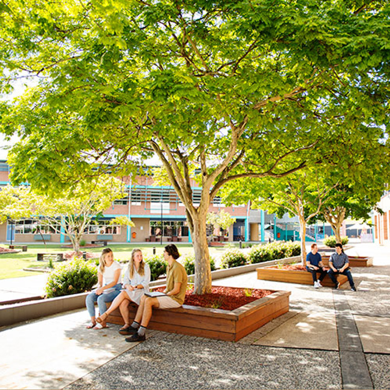Students sitting under a tree at Coffs Harbour campus