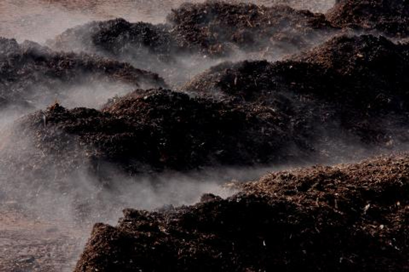 Steaming piles of compost
