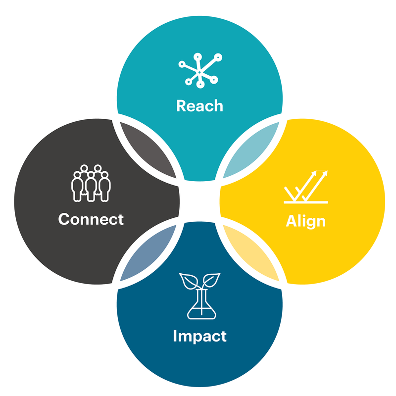 Southern Cross University Sponsorship Framework image
