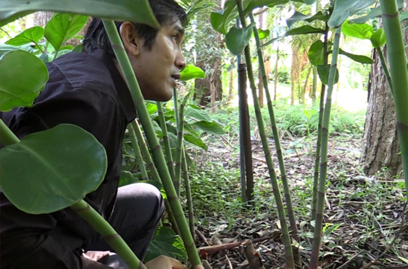 Myanmar community leader exploring a local garden