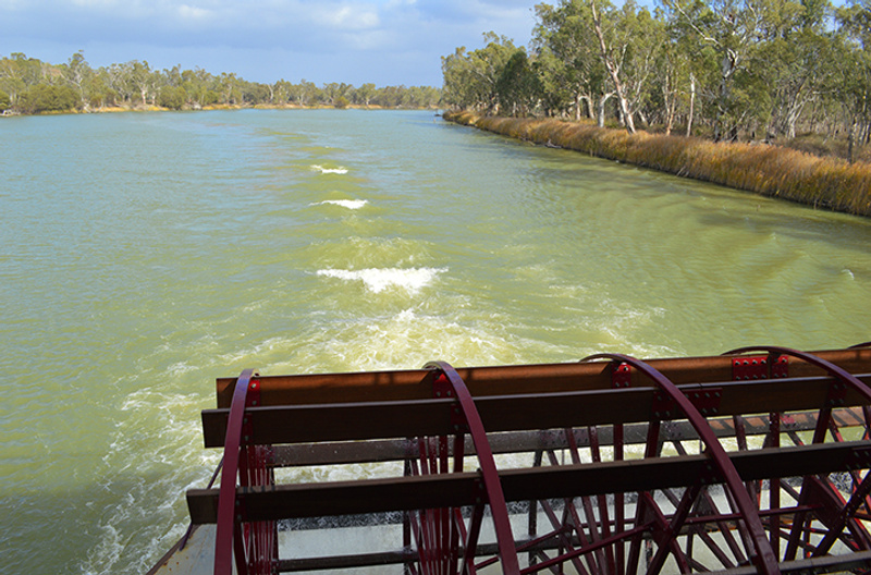 Paddle boat on Murray River in South Australia