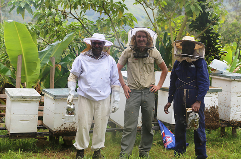 Harvesting honey in the highlands of PNG with beekeeping guru Mr Wilson Tomato (left), Dr Cooper Schouten and Mr Paki Billy in partnership with the Market Development Facility and Highlands Honey. Credit Coooper Schouten