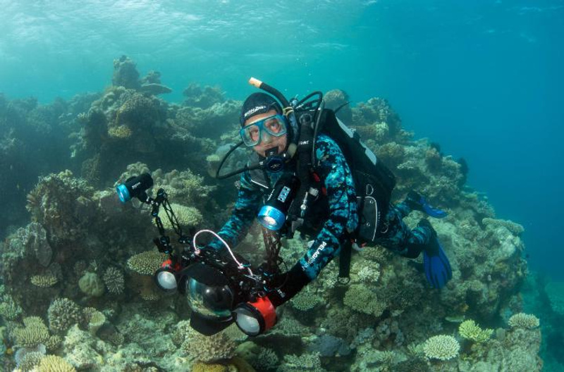 Man scuba diving at a coral reef