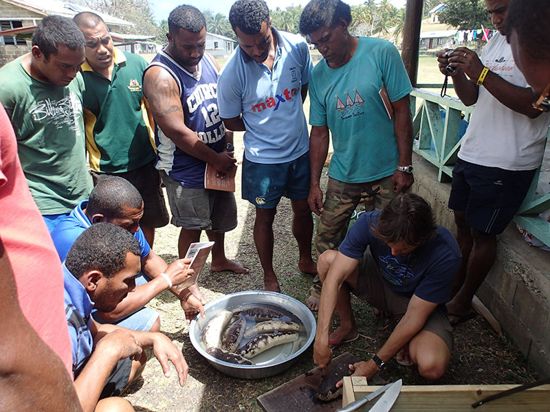 Dr Purcell showing how to cut a White teatfish at a workshop in Fiji