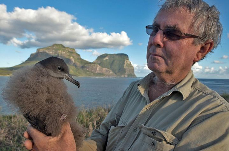 A man holding a shearwater bird with moutains and ocean in the background