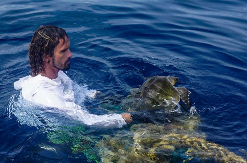 A man on the ocean surface with an entangled turtle