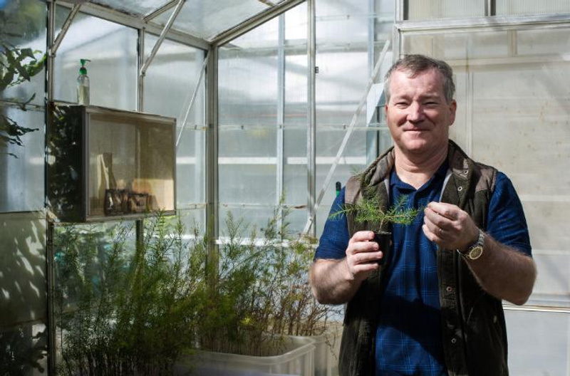 A man in a greenhouse holding a seedling