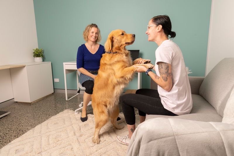 Noémie Rigaud in clinic with therapy dog Tango