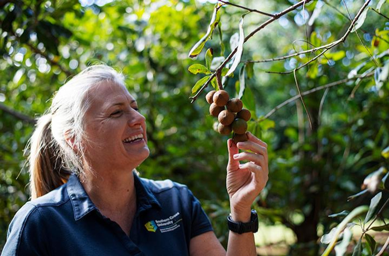 PhD researcher Kirsten Ellis with macadamia fruit on tree
