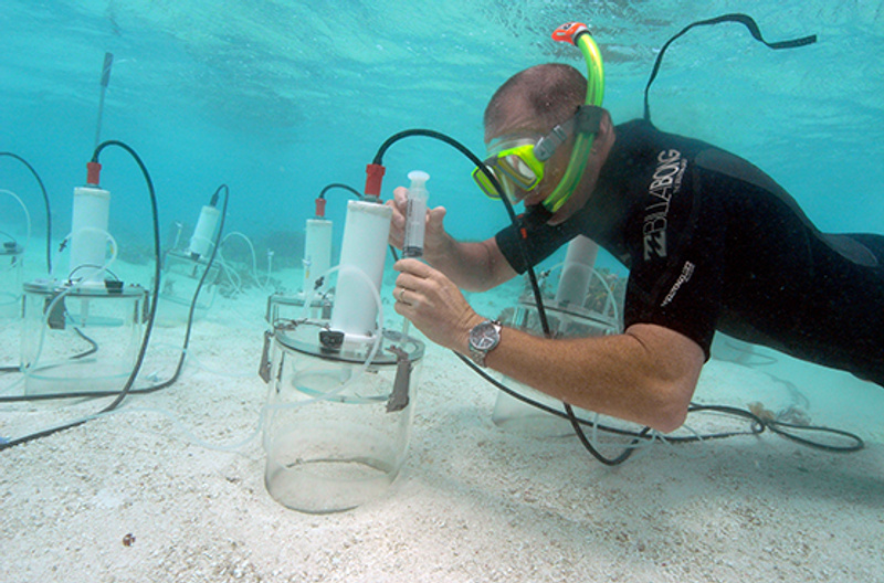 Bradley Eyre working with benthic chambers at Heron Island