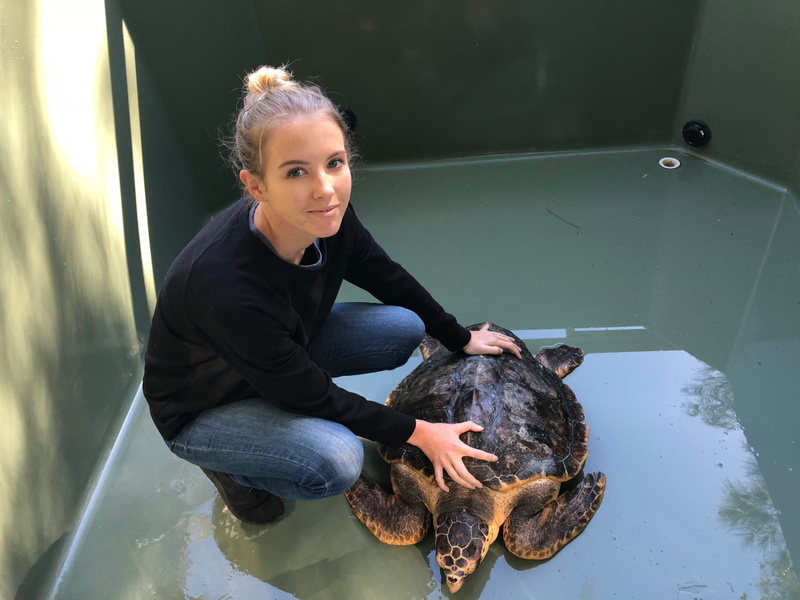 Olivia Pitt with turtles