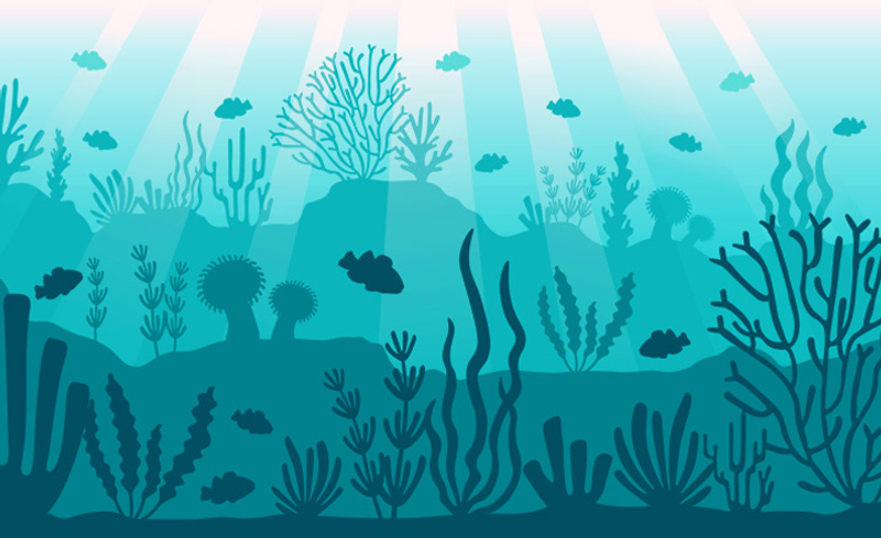 marine chemistry and pollution 720-440-97kb - image source shutterstock