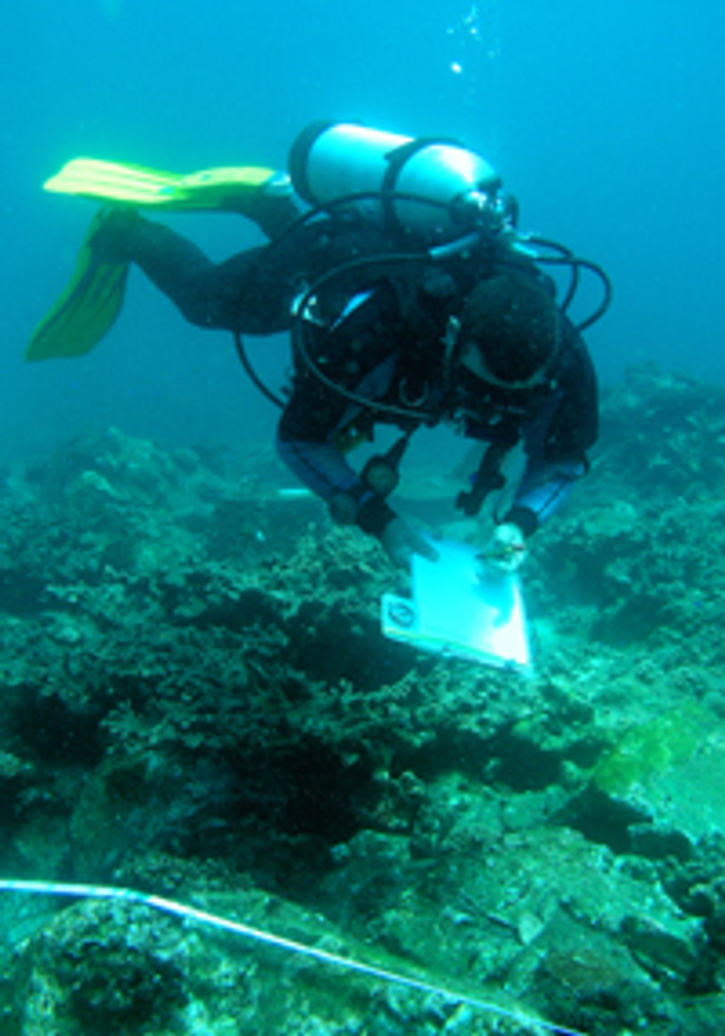 Underwater - belt transects