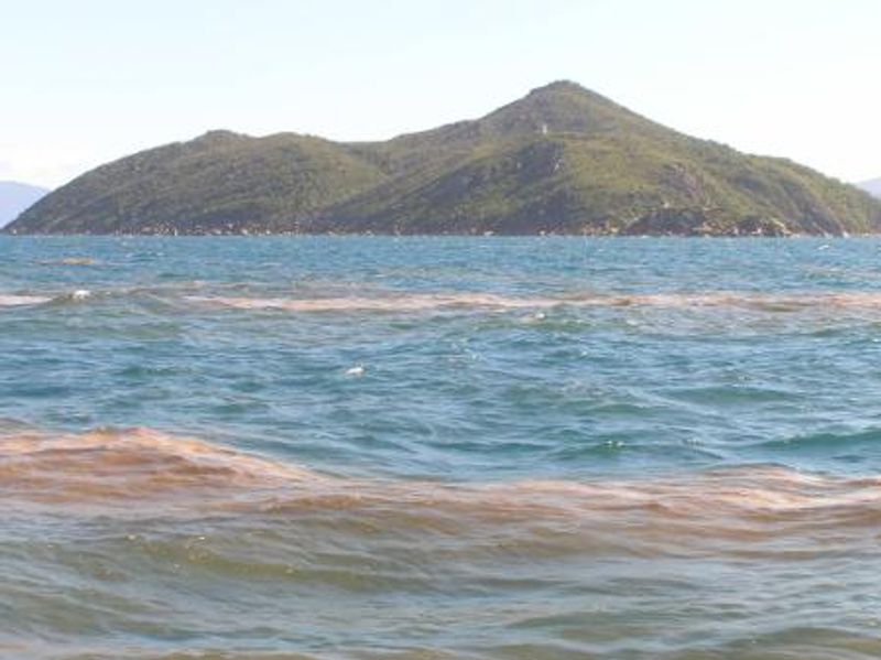 Image of open water with a brown stain and a mountain in the background