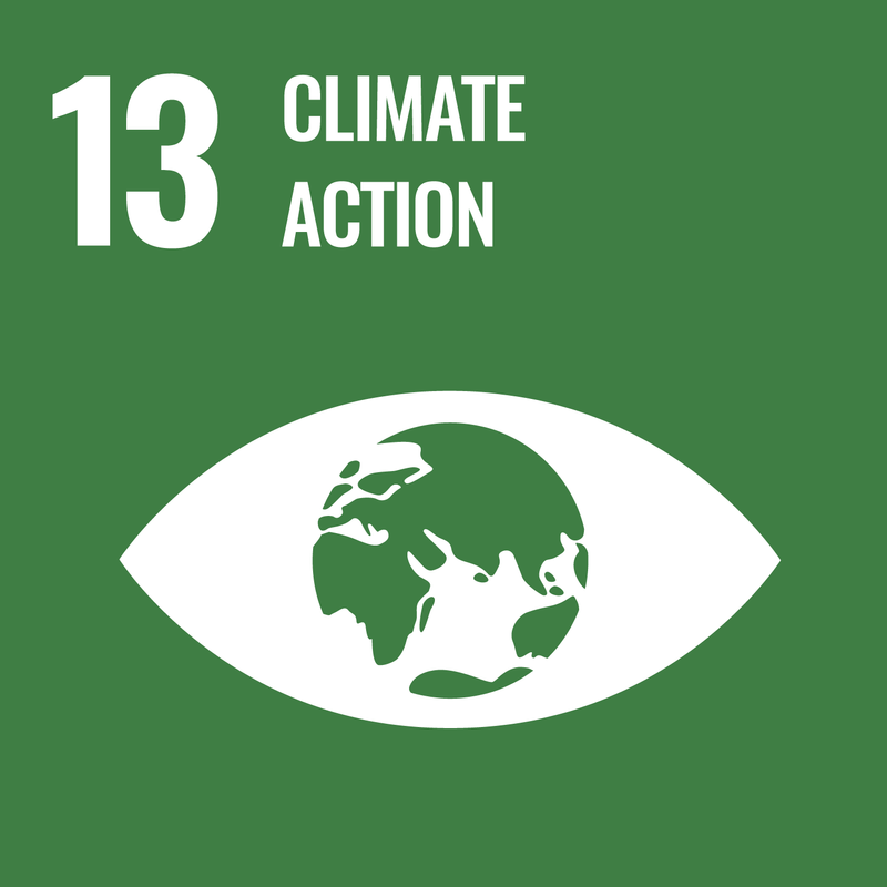 Uniited Nations Sustainable development Goal 13