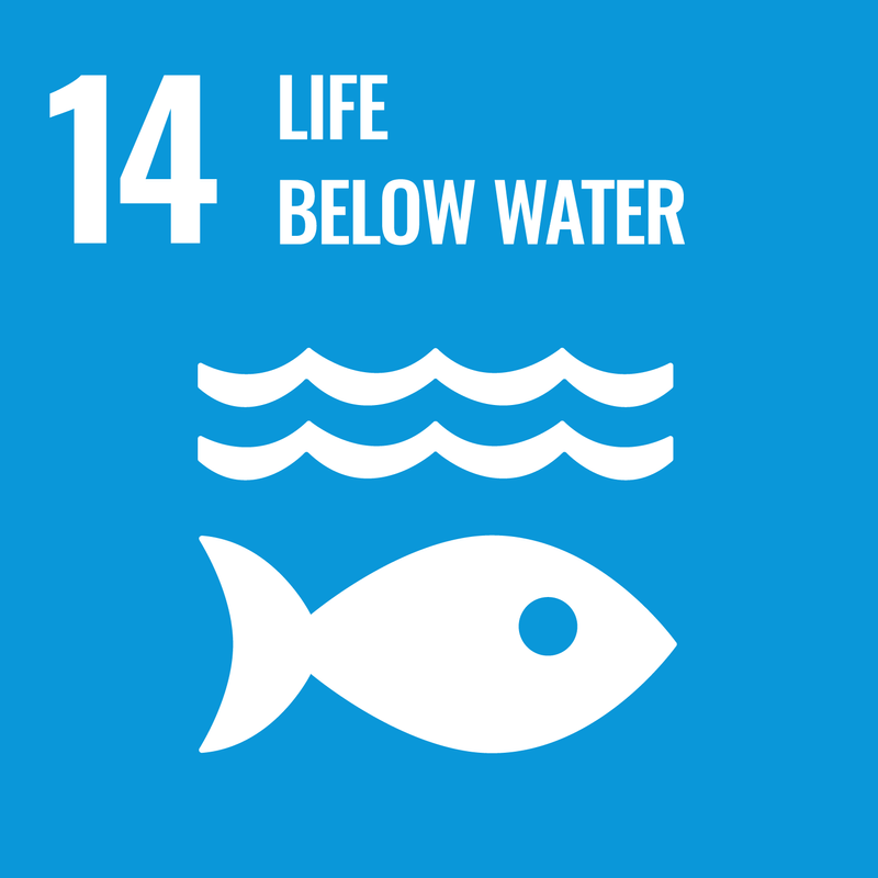 United Nations Sustainable development Goal 14