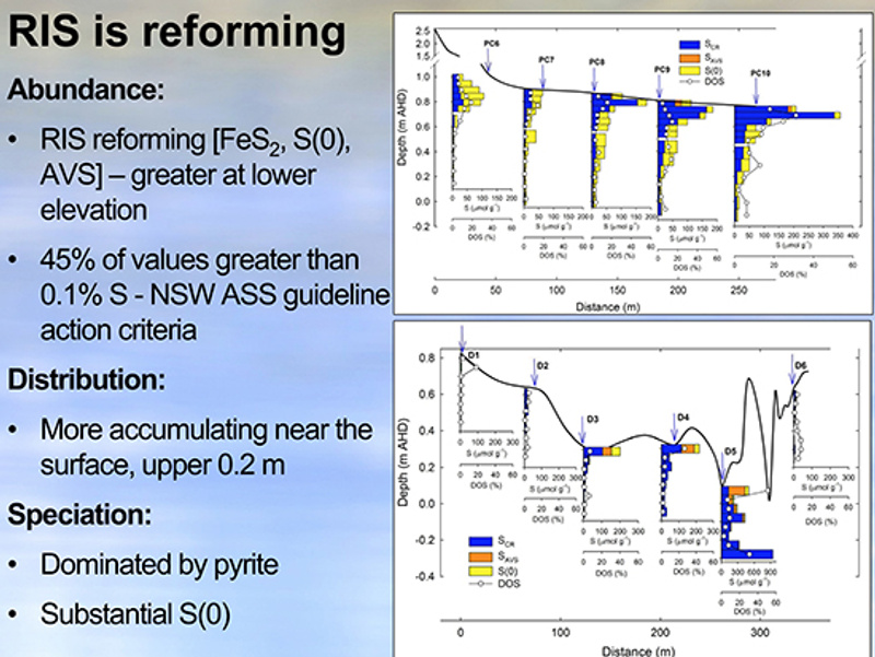Slide 5: outlining how RIS have reformed under inundated conditions