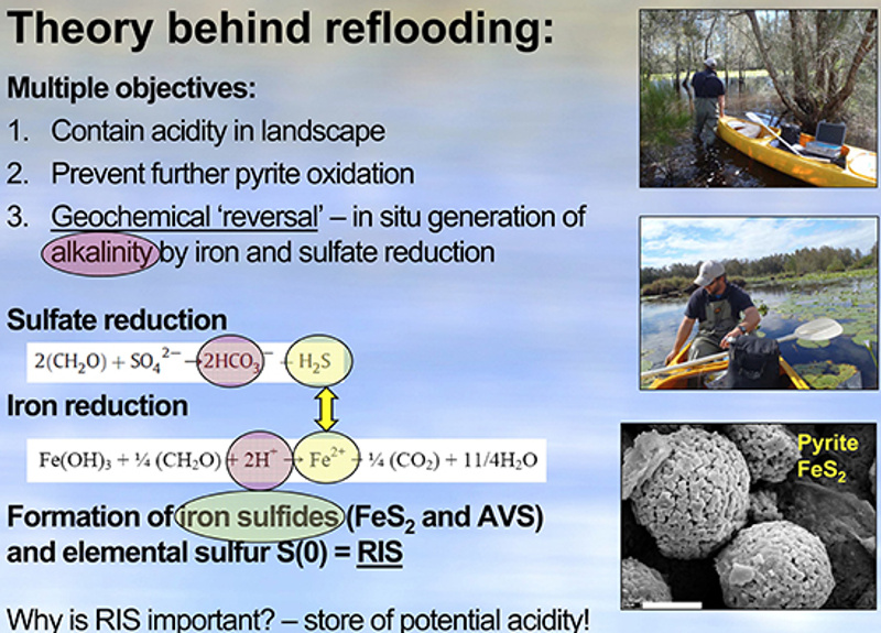 Slide 1: identifying the theory behind freshwater reflooding as an remediation option