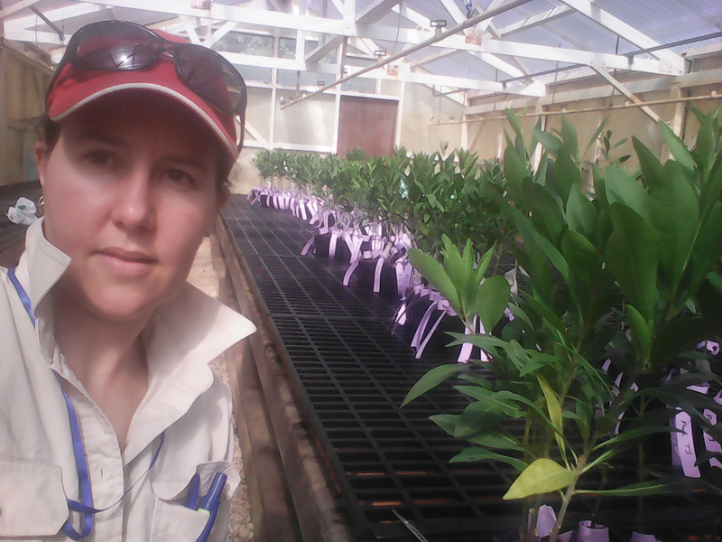 researcher in glasshouse