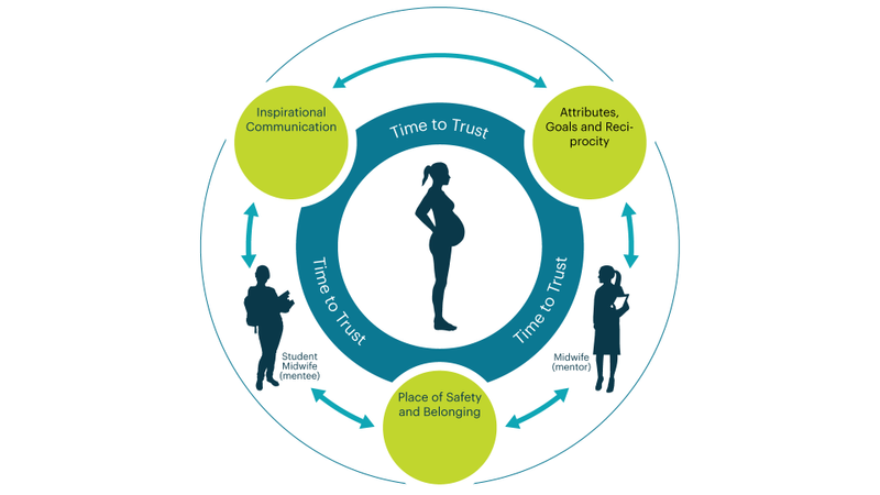 Midwifery Infographic
