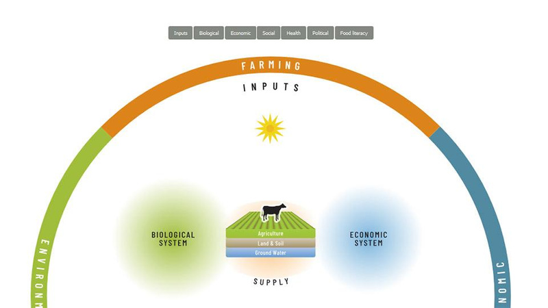 Food Systems infographic