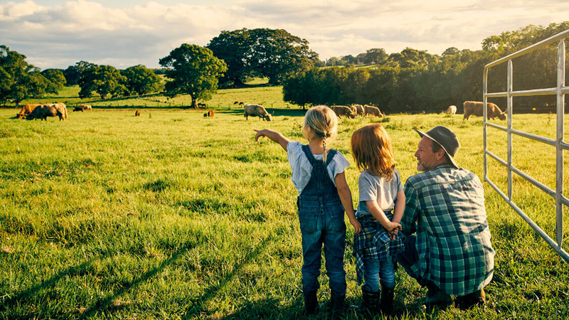 Two children and adult standing in green paddock
