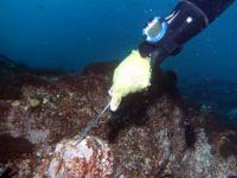 Using a probe to minimise contact